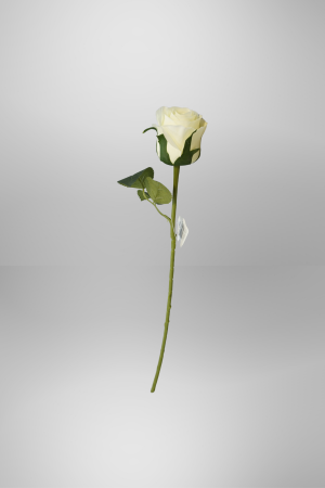 Kunstblume Rose Cremeweiß (PD-002-1) – langlebige künstliche Dekoblume aus Kunststoff