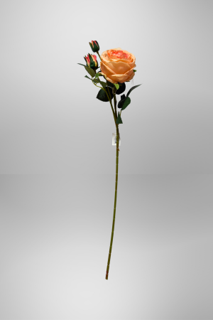 Kunstblume Pfingstrose Aprikose (PD-007-7) – langlebige künstliche Dekoblume aus Kunststoff