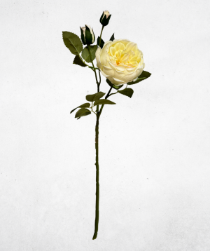 Kunstblume Pfingstrose Cremeweiß (005-1) – langlebige künstliche Dekoblume aus Kunststoff