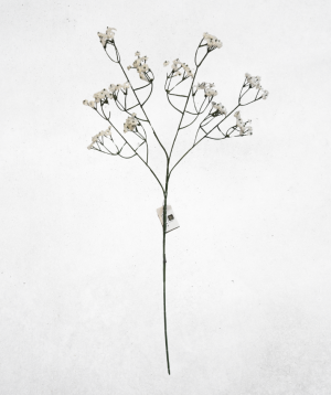 Kunstblume Schleierkraut Weiß Dunkelgrün (029) – langlebige künstliche Dekoblume aus Kunststoff